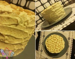Panellet LayerCake 09
