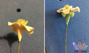 Mora con pasta de flores 05